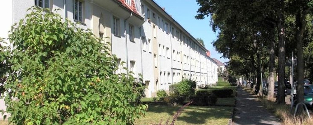 80-web.jpg